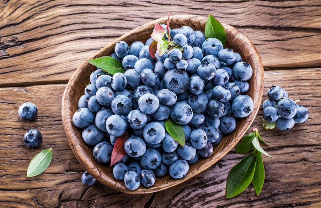 研究表明：吃蓝莓有助降血压