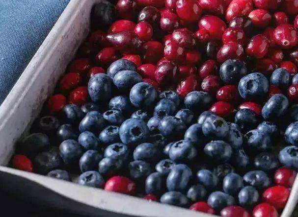 英口腔健康基金会：吃蓝莓蔓越莓可降蛀牙风险