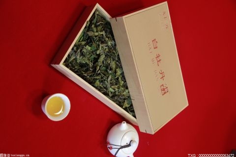 湘西州古丈县茶叶种植面积19.5万亩 去年实现产值14.32亿元