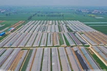 “小瘠丘”变“大沃田”  常德2022年高标准农田建设任务56.01万亩