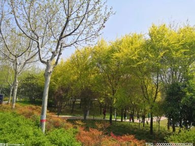 邯郸丛台区已建成11处口袋公园 为居民打造家门口的“微幸福” 