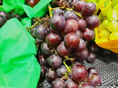 永州江永县葡萄产业园亩产量达1500多公斤 年产值可达9000万元